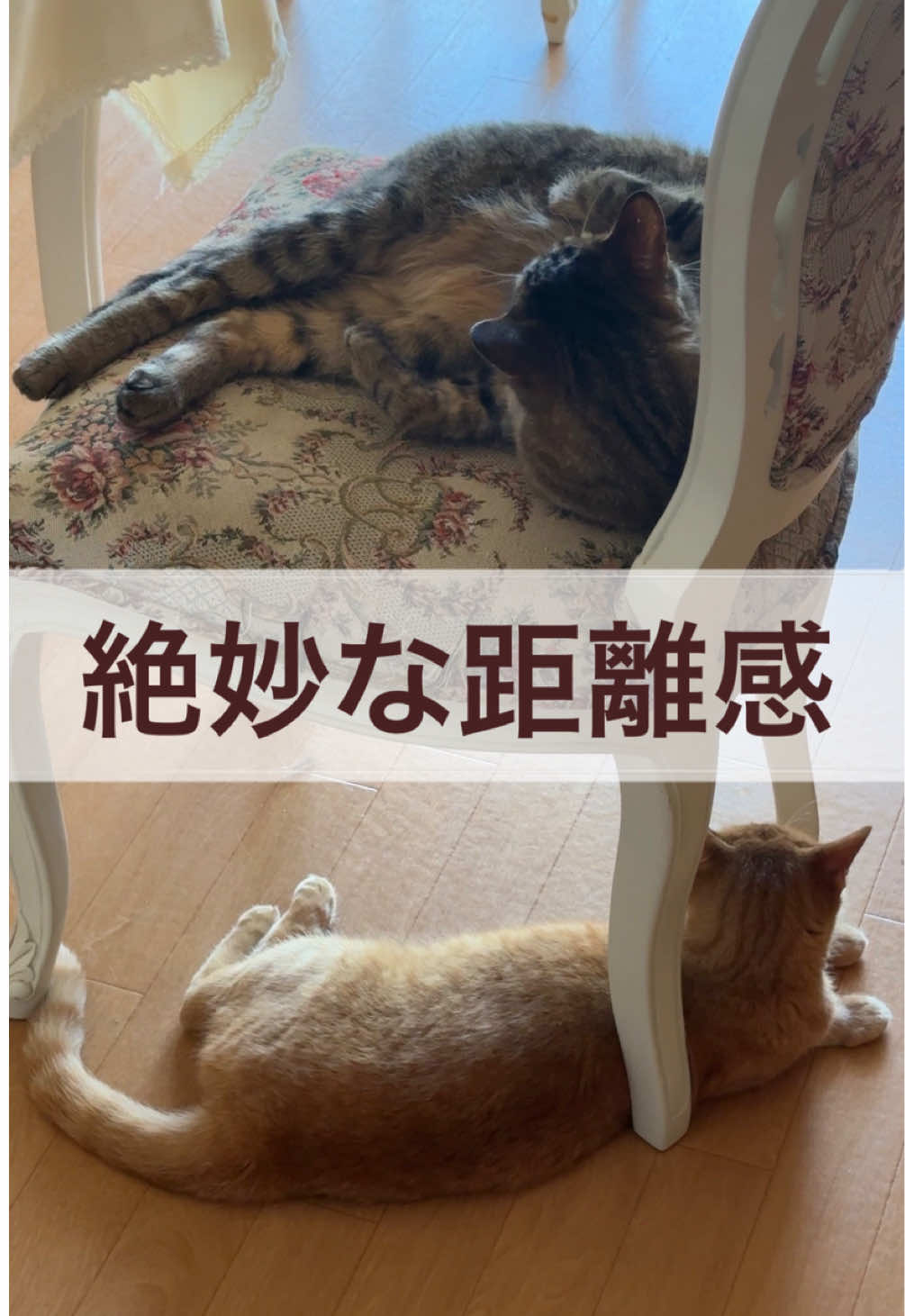 @さっことおちょ
