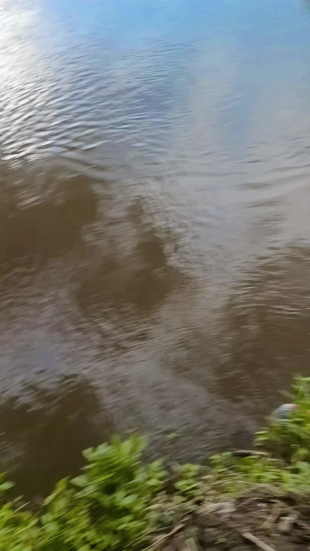 @orupnaselfishing