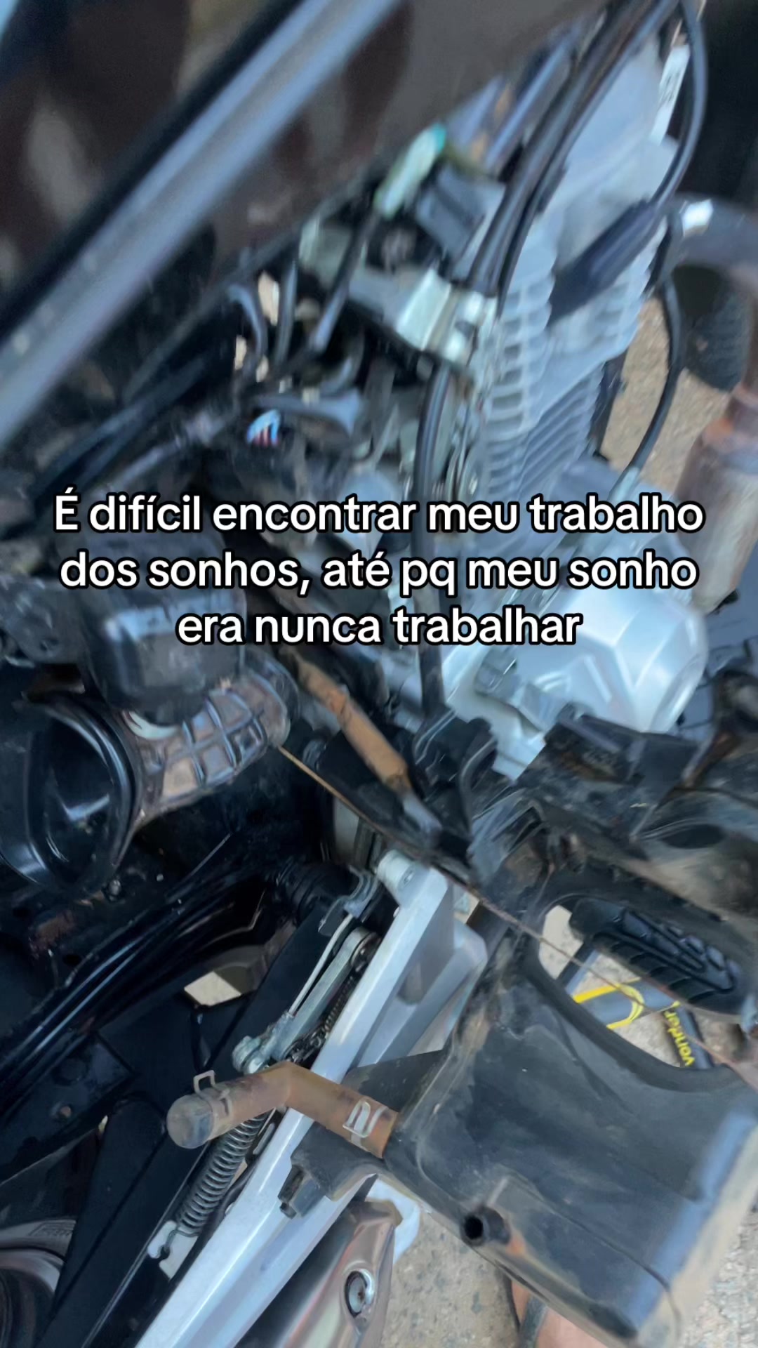 @João Victor Silva