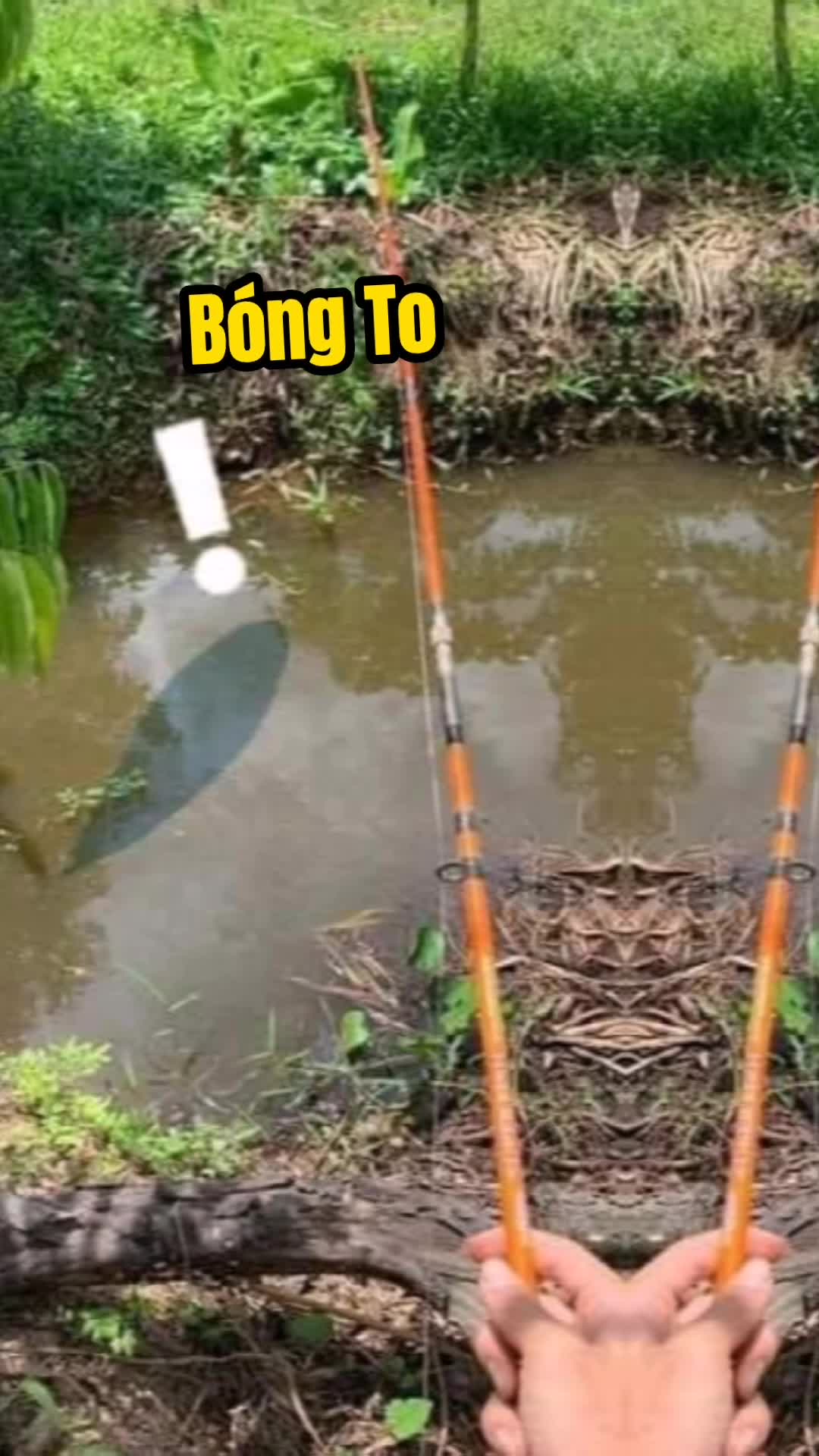 @V&otilde; Ho&agrave;ng Nam🦈
