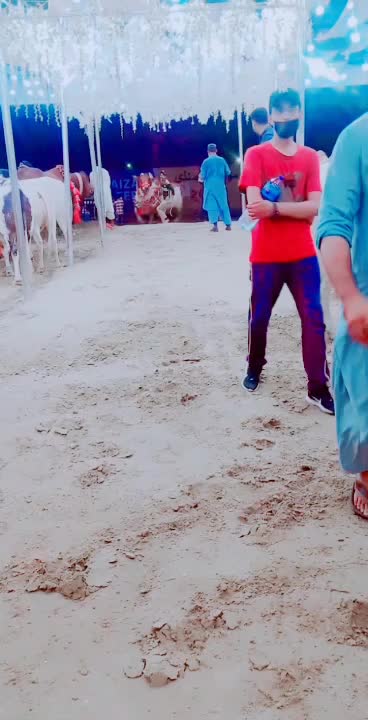 @wajii khan 0