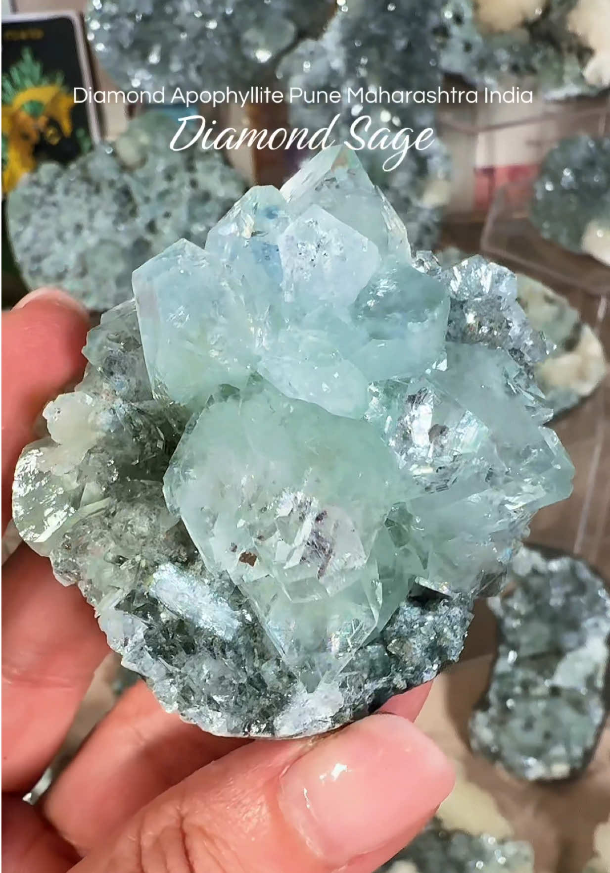@HL Wilde