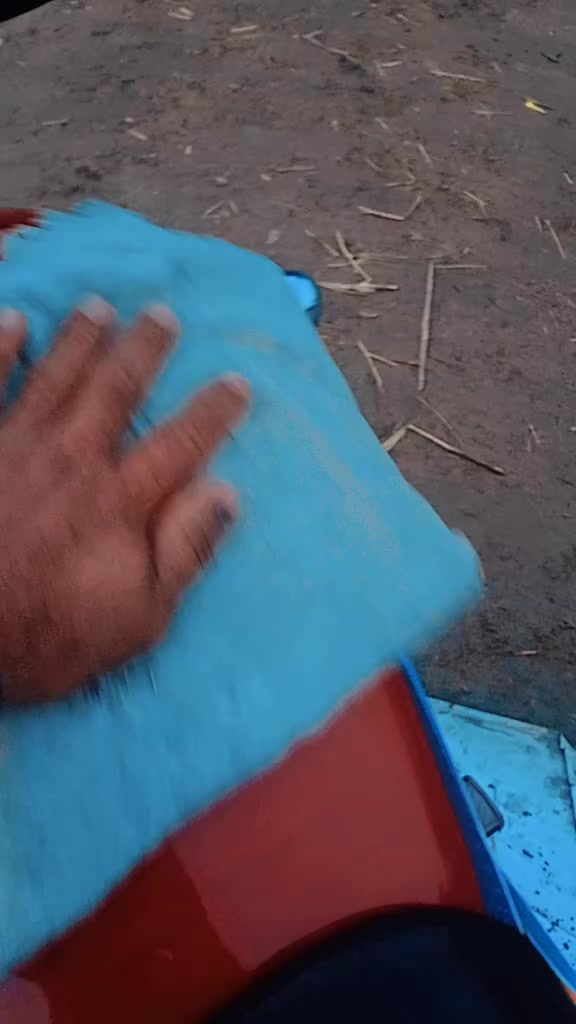 @M  Pnahi Mari