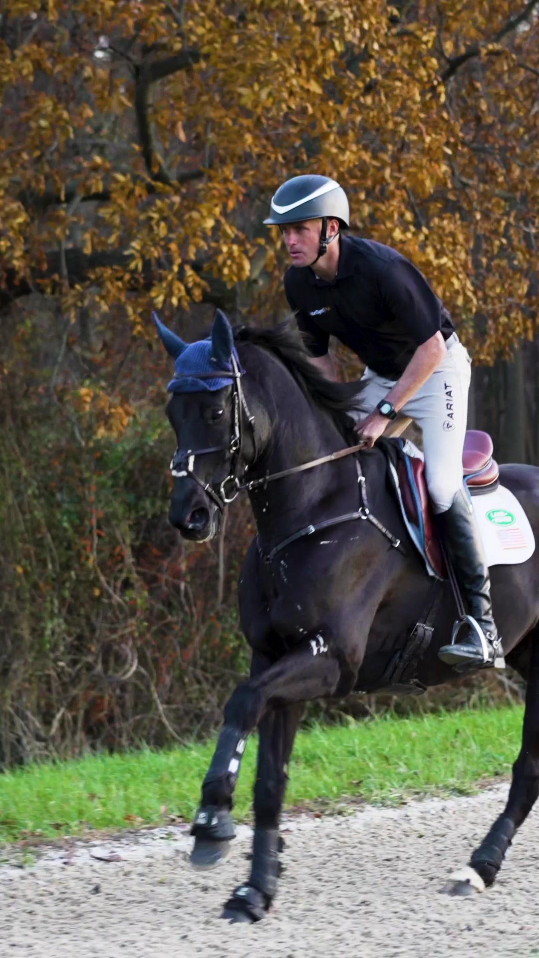 @Boyd Martin