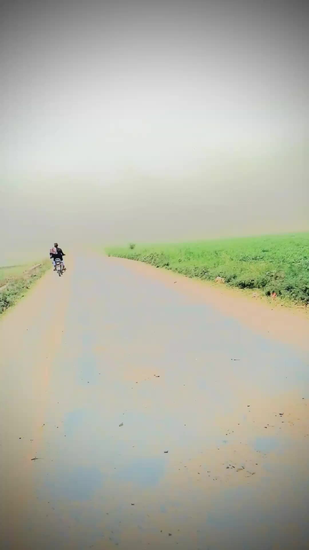 @️🪽