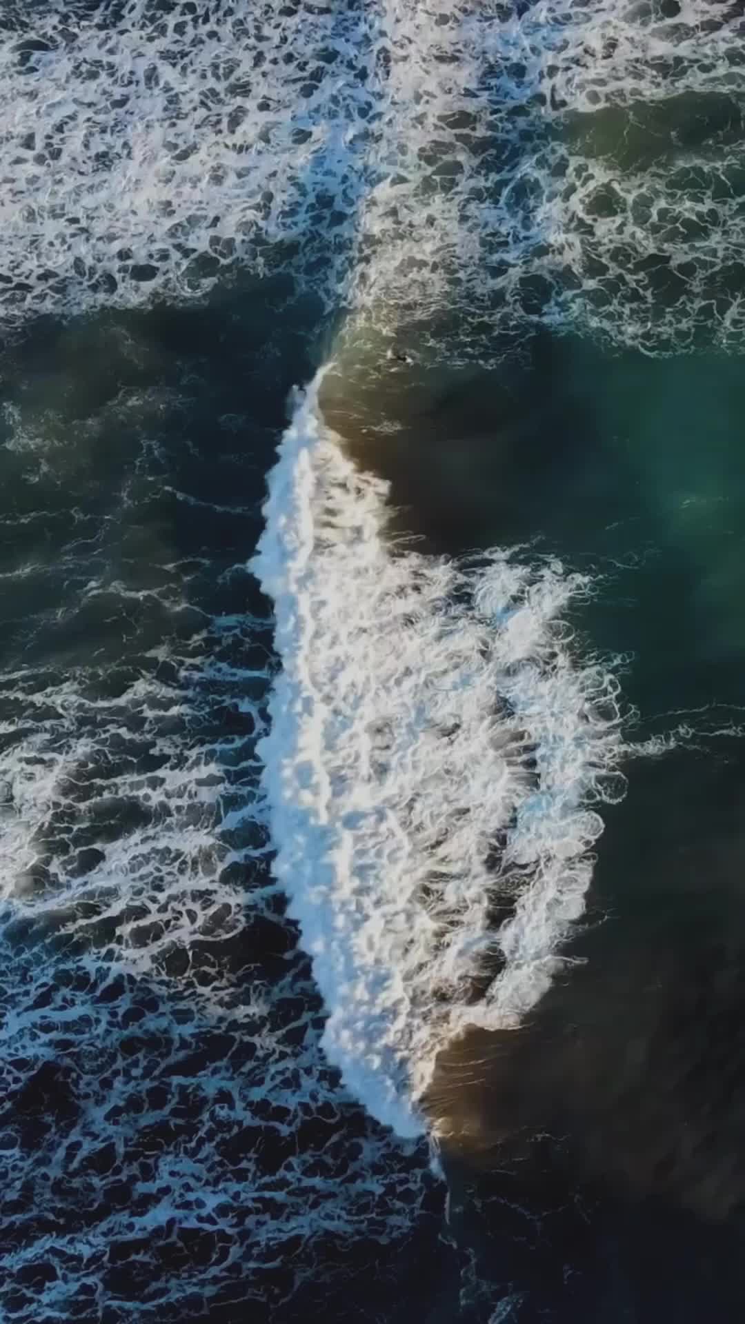 @sustainablesurf