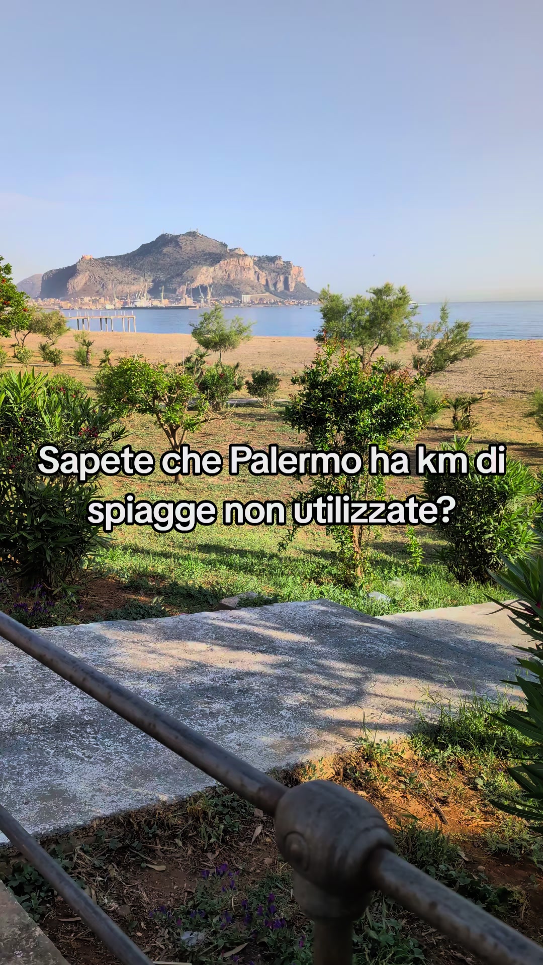 @lookingsicily