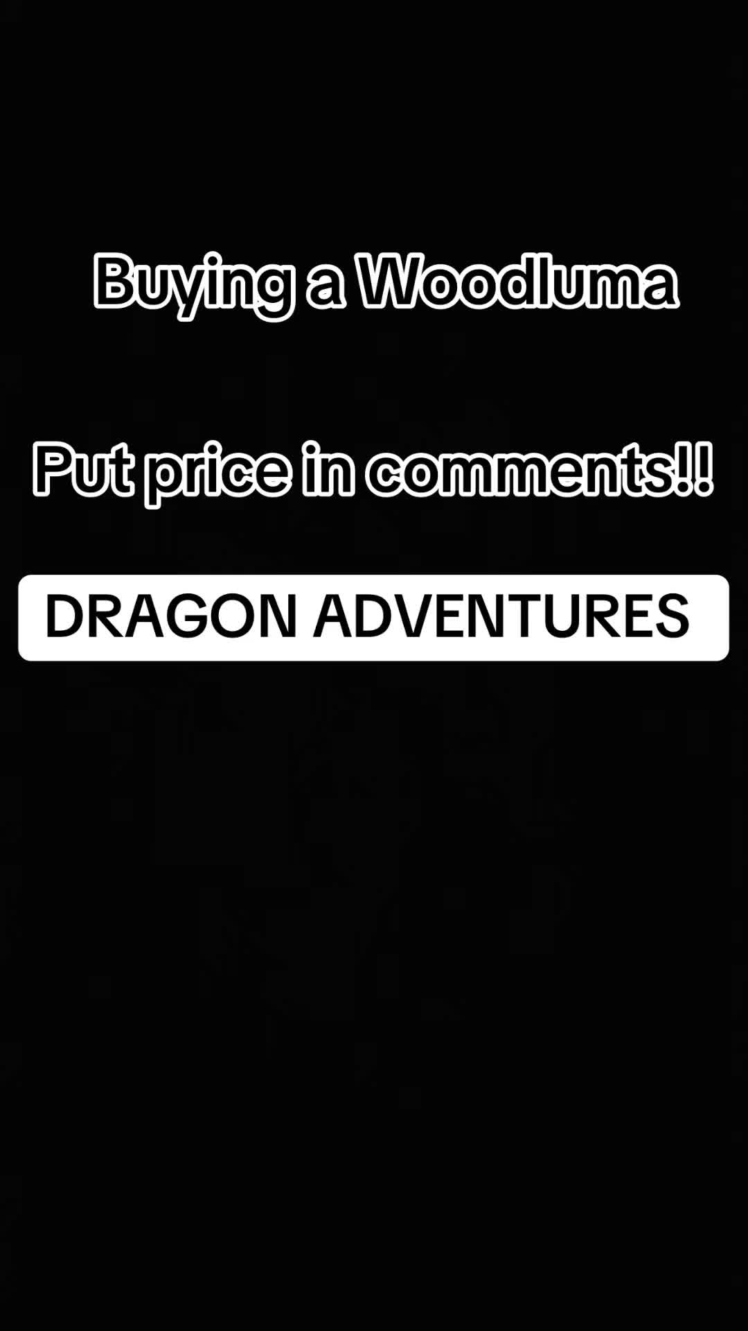 @🐲Dragon Adventures🐲