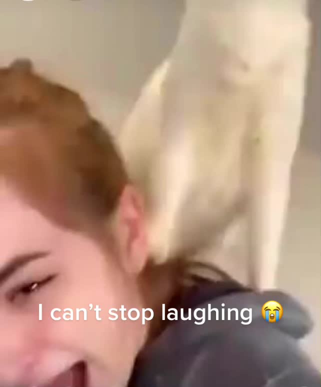 @David king