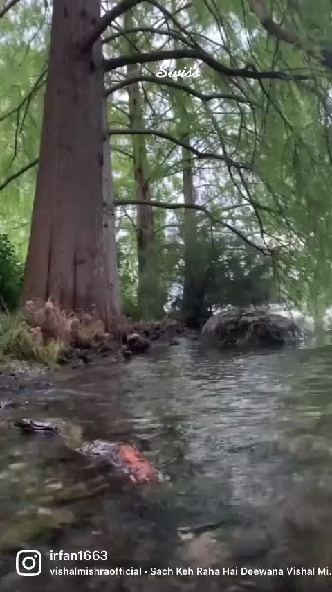 @Irfu1111