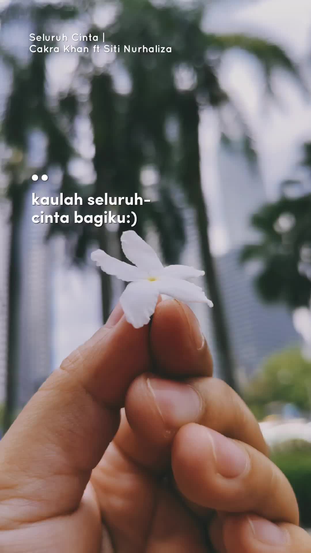 @haura dellya