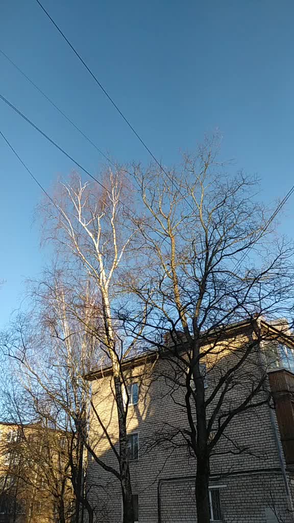 @наталья Соловьёва
