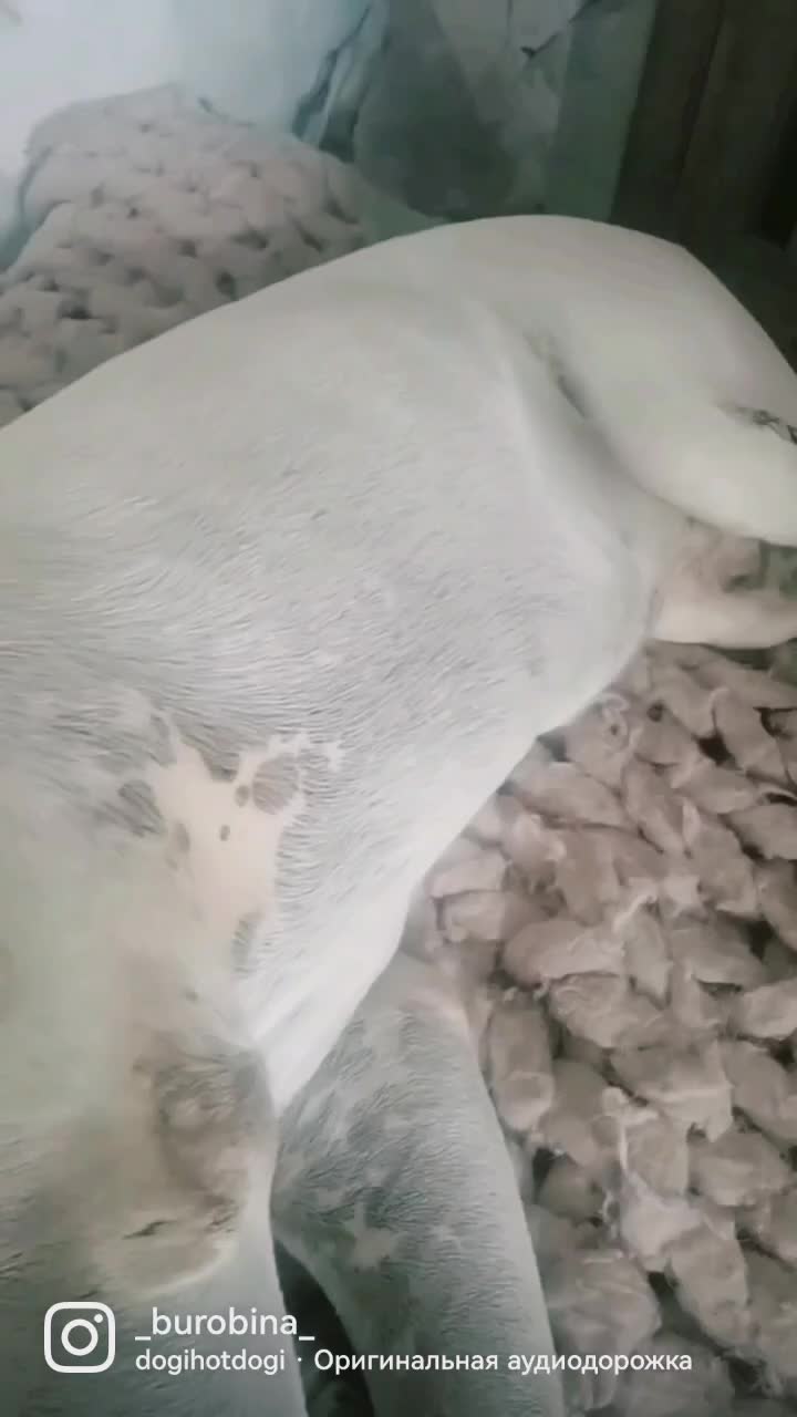 @Яна
