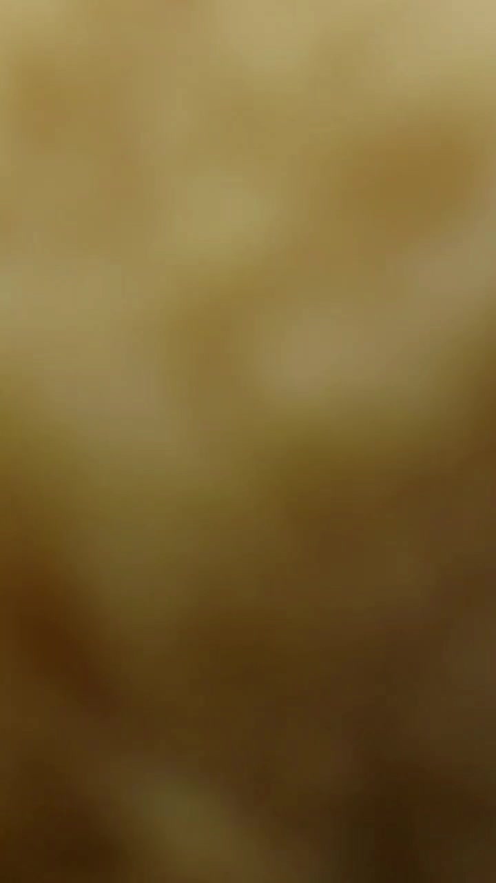 @MidnightTheWolf