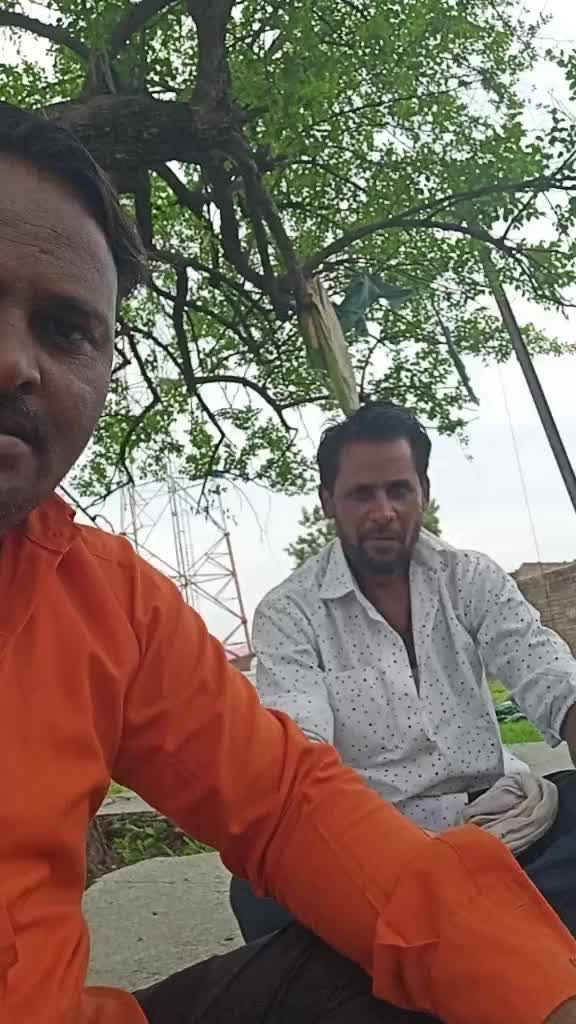 @afsarsayed422238