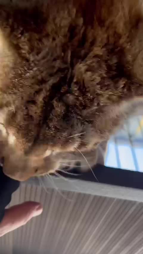 @Анна