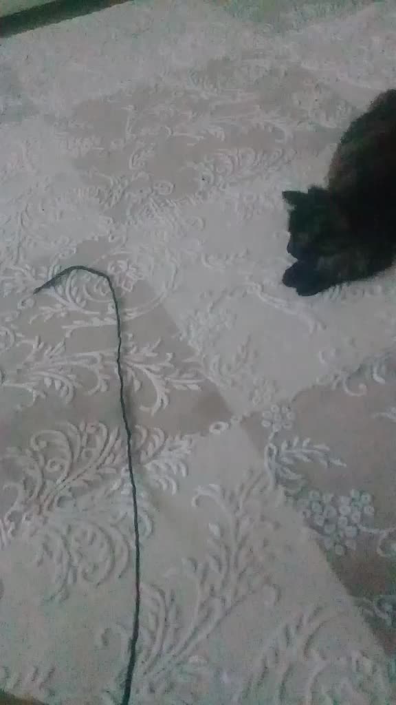 @fark etti özümmm...