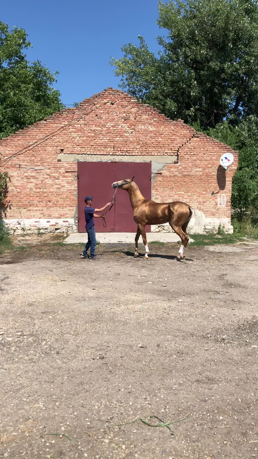 @Lubovvv_Morkov