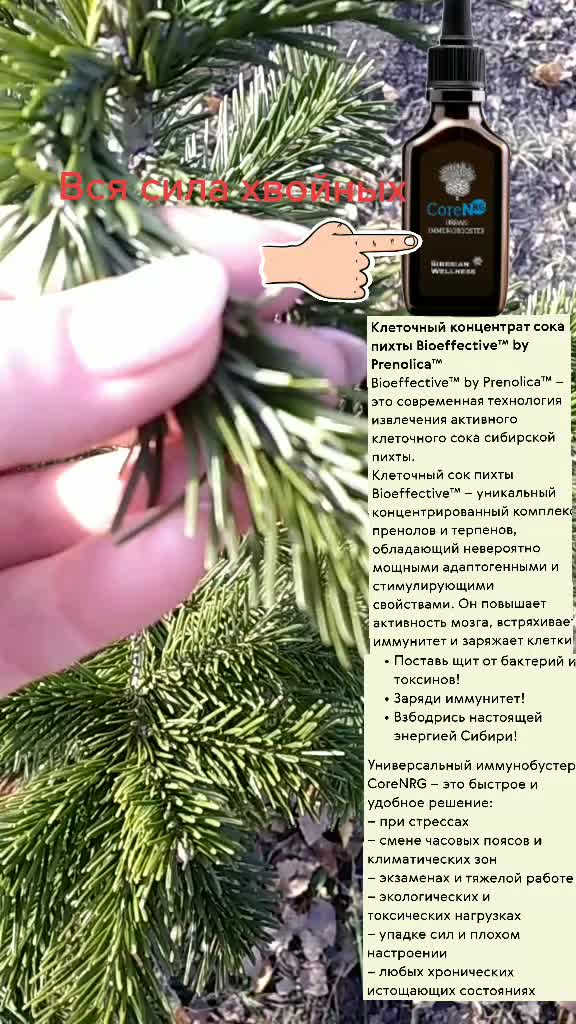 @Светлана Фольмер_zdorovo