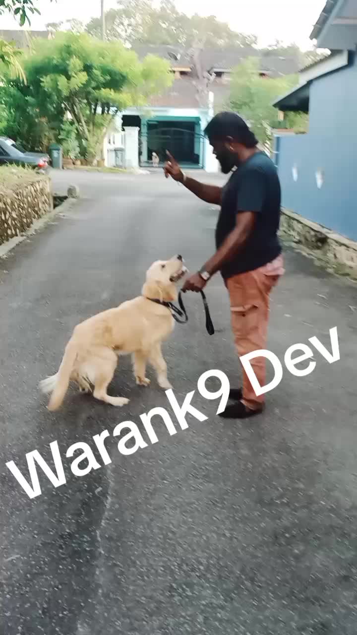 @Warank9Dev
