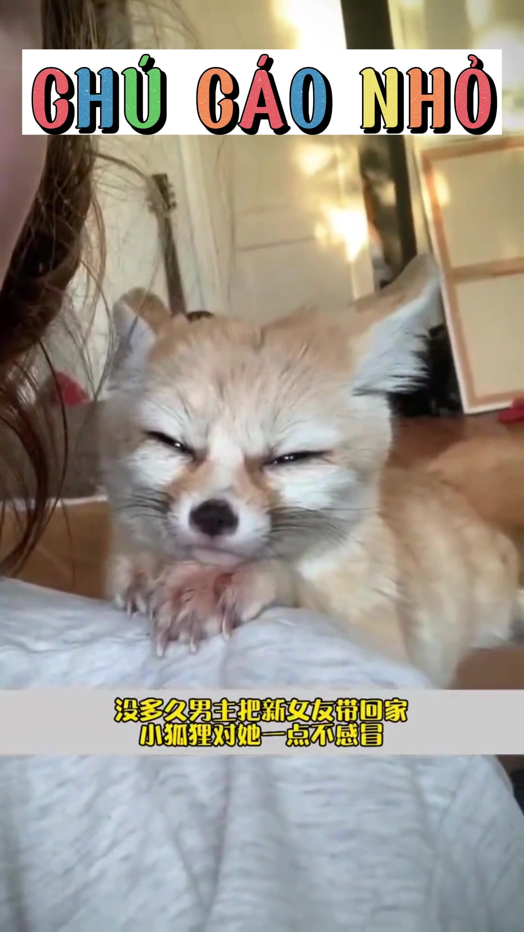 @Y&ecirc;u th&uacute; cưng