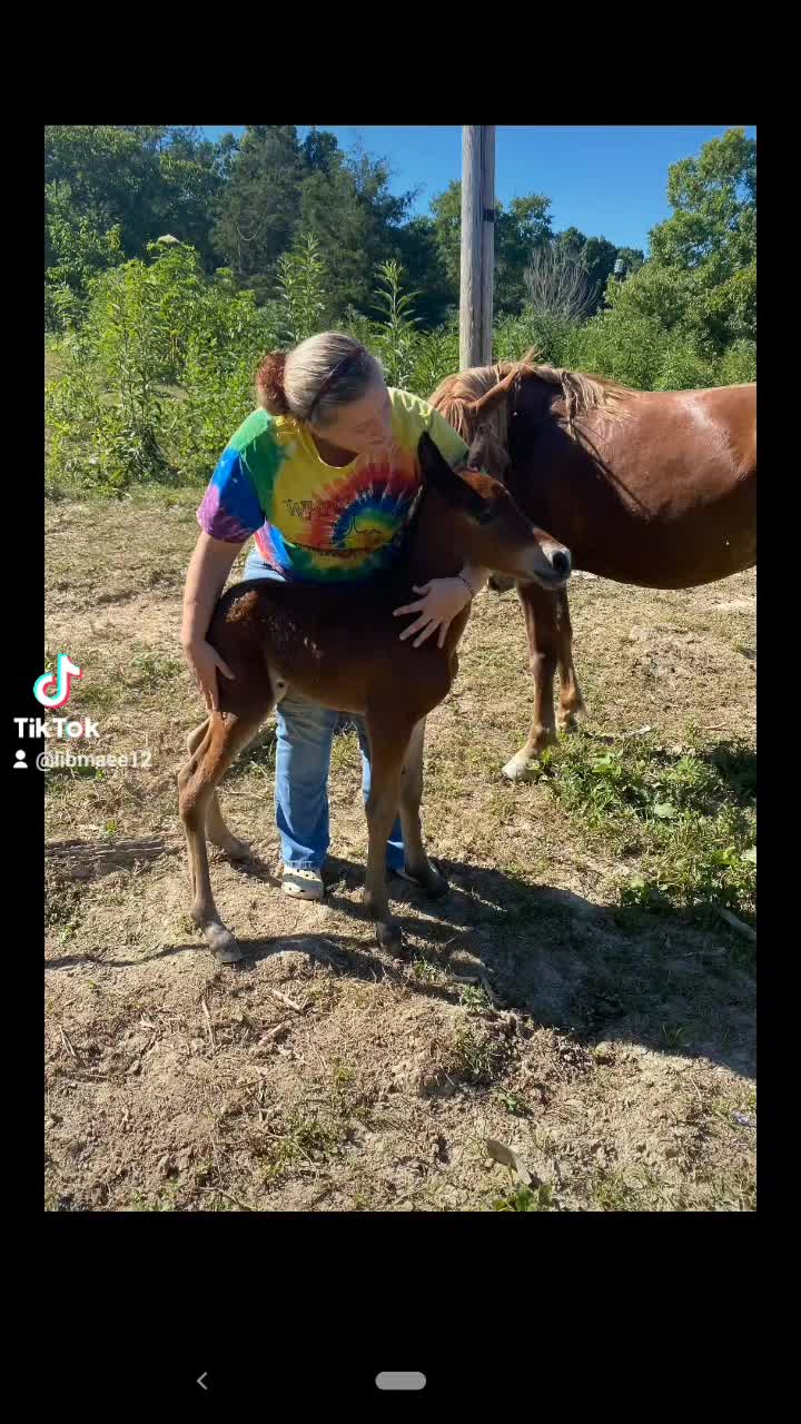 @Mane Stream Stables