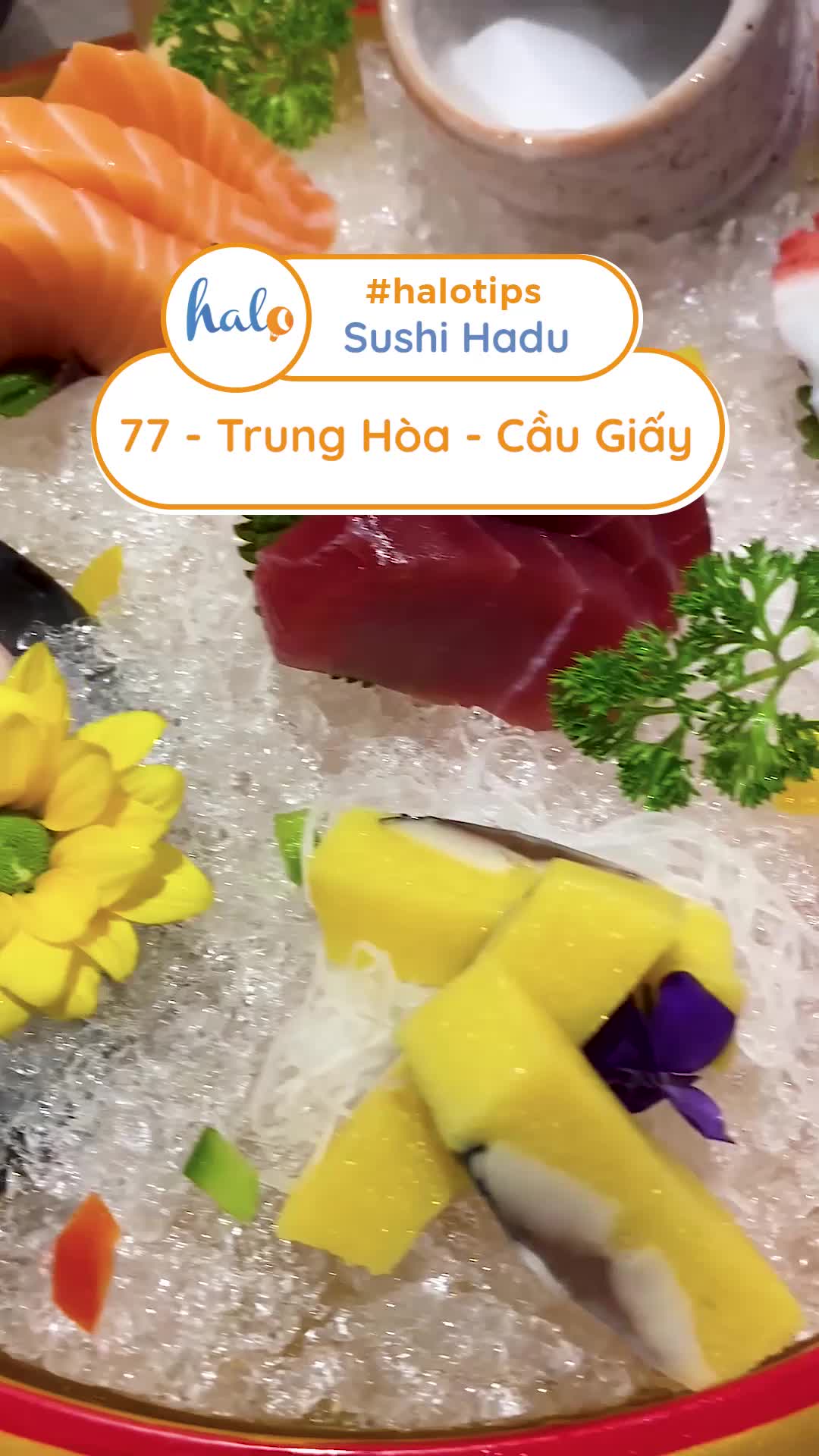 @Halo Travel Food