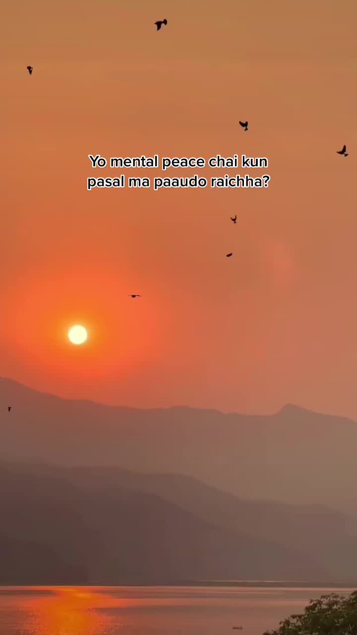 @hallelujah