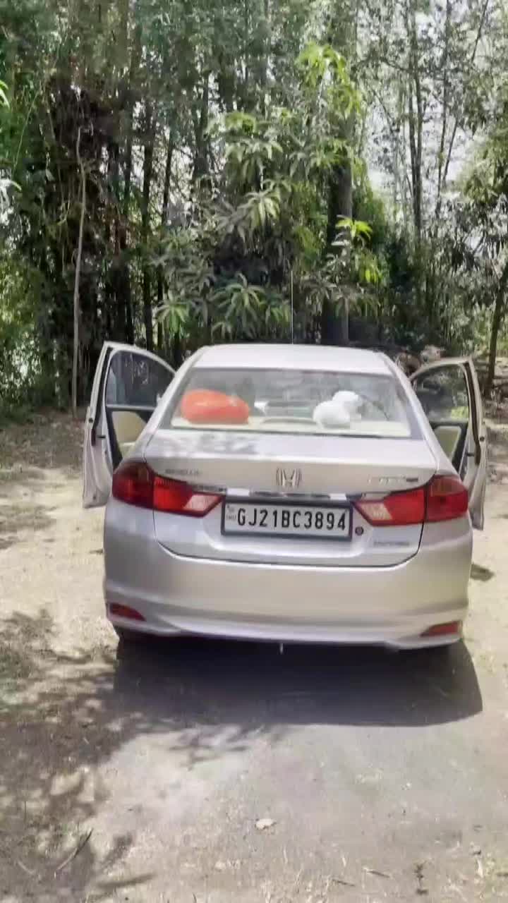 @handsy_prem