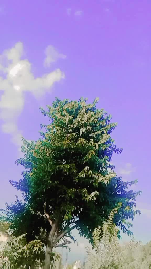 @janaki giri๐น๐น๐น