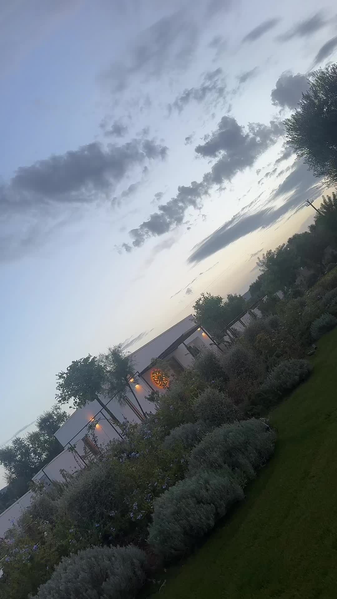 @sofia