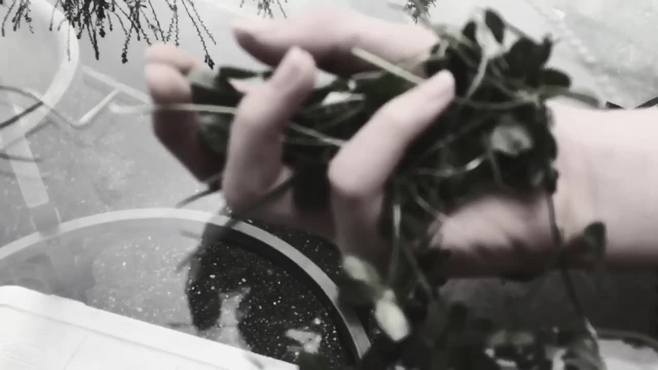 @𝕪𝕖𝕖𝕥