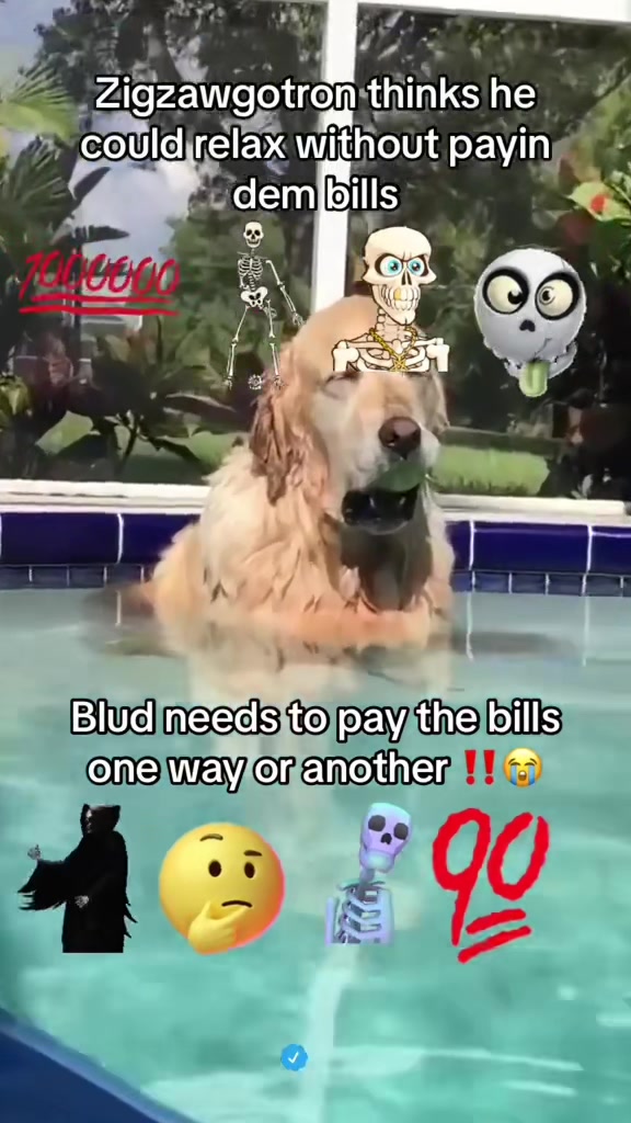@TheSniffer