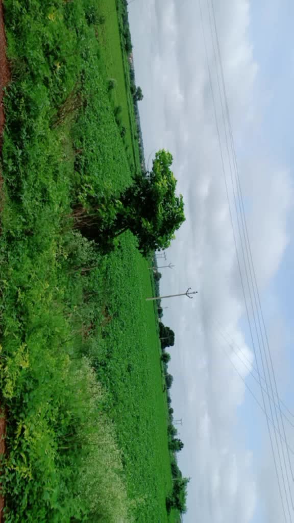 @Naresh Dandge