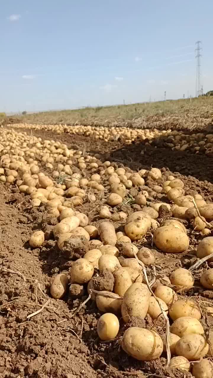 @Oğuzhan Özmen