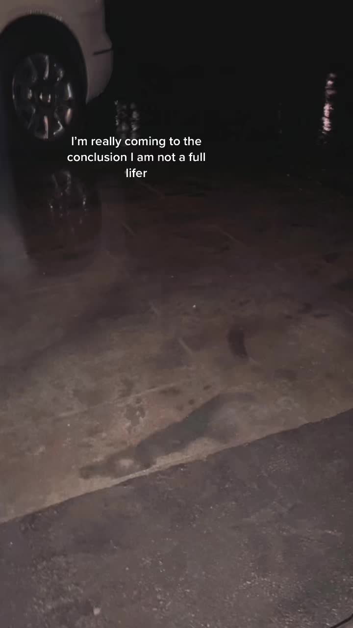 @Bruhhhh