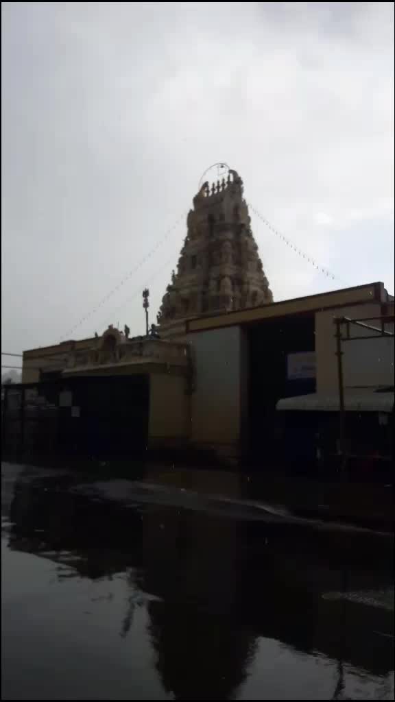 @ಅಪ್ಪು ಹುಡುಗಿ ಅಮ್ಮು