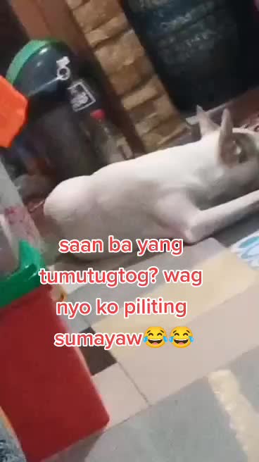 @bardbard🦮and Fam🧑&zwj;🦰🧑&zwj;🚒🧕