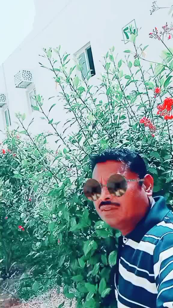@Kasimkv Kasimkv