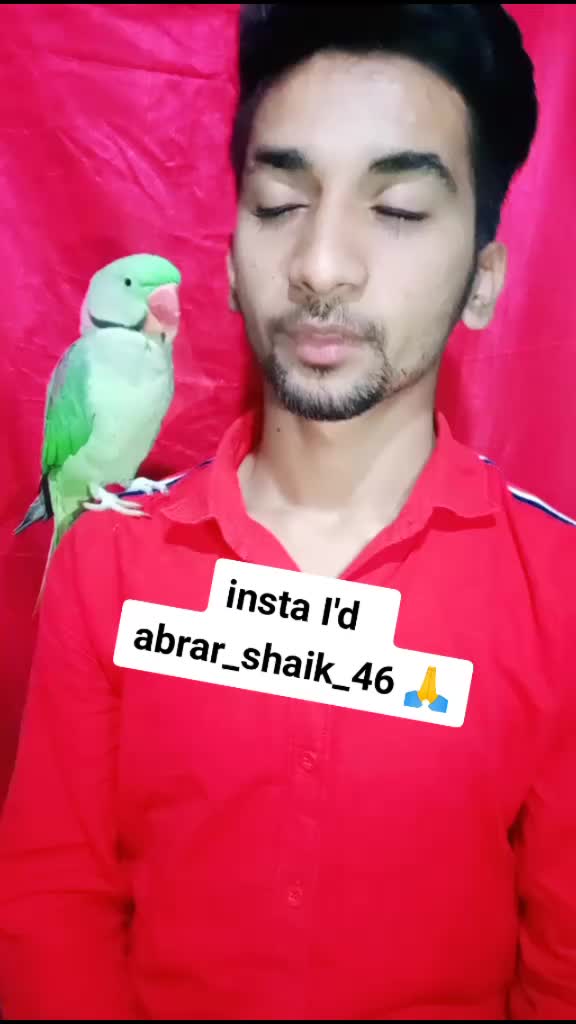 @Abrar shaik 46