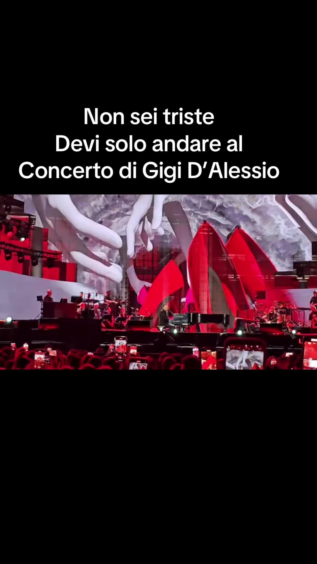 @Lucy Persico