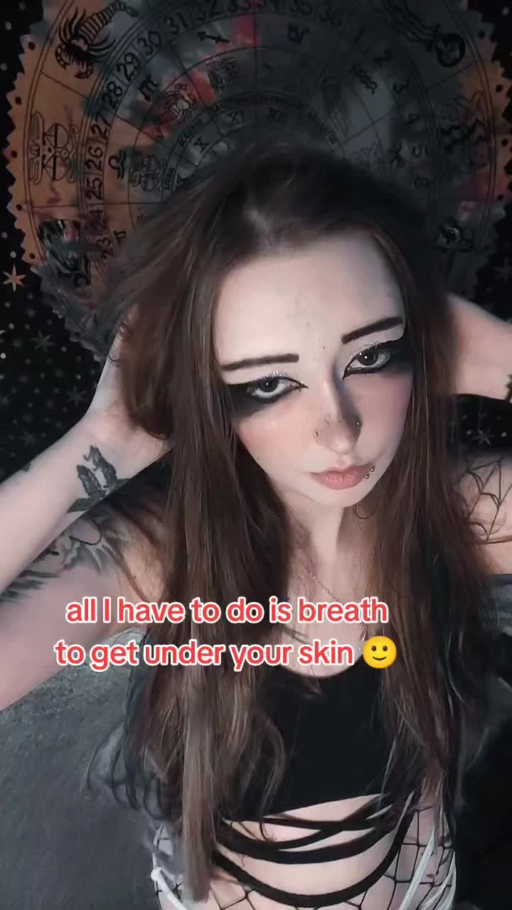 @Kitten 🐈💓🌺