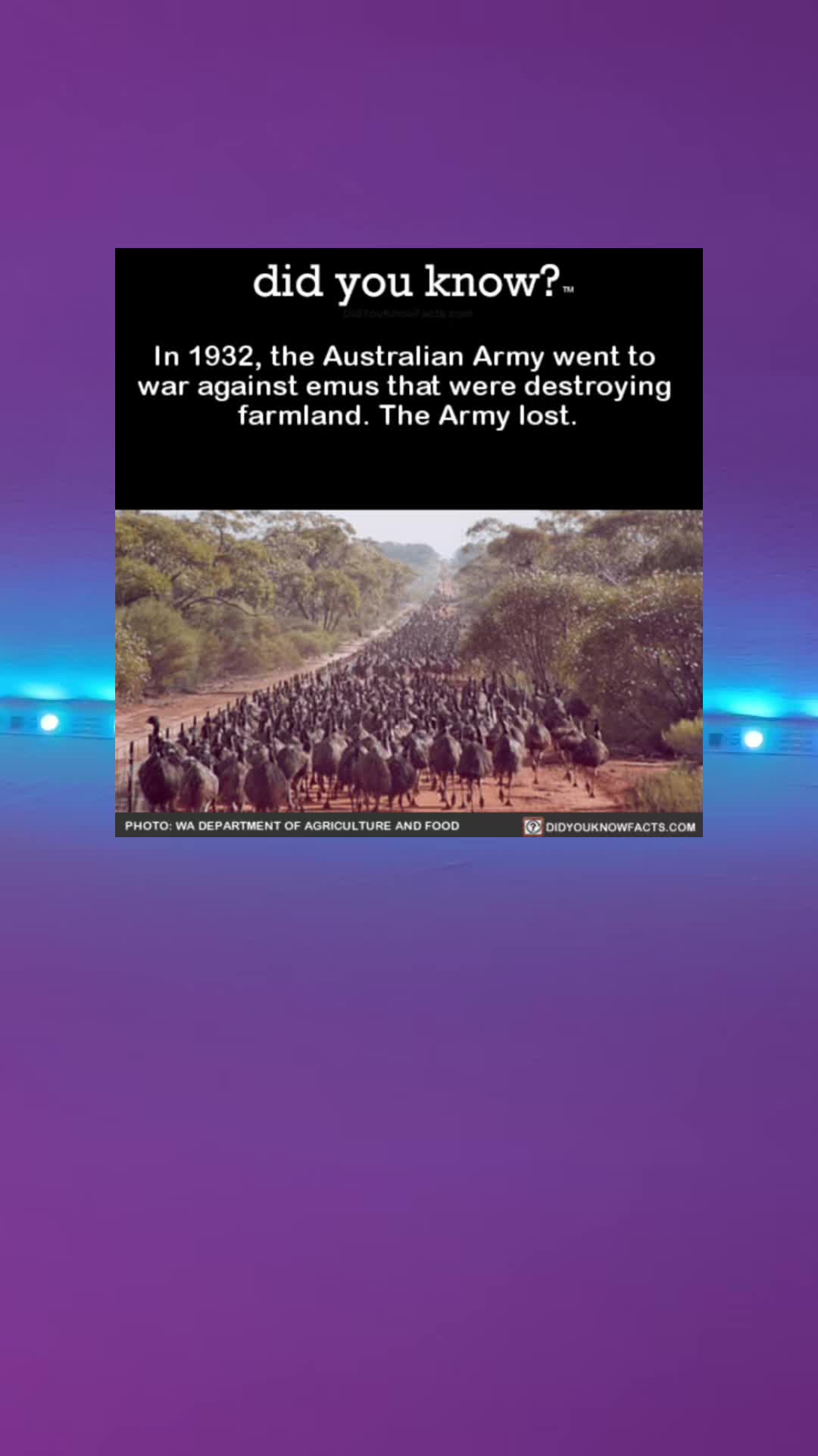@coolfacts