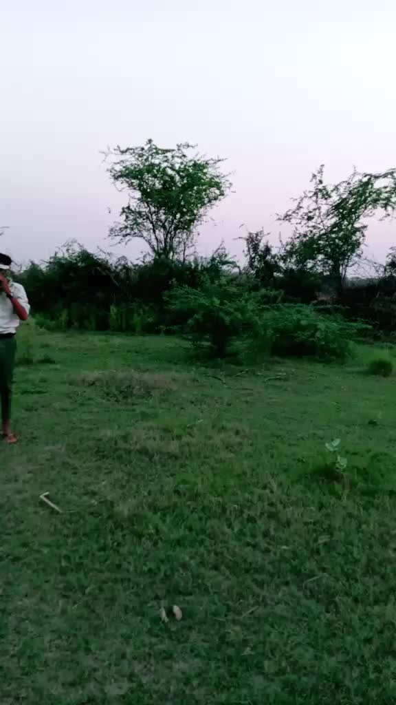 @टिम- तँवर -440