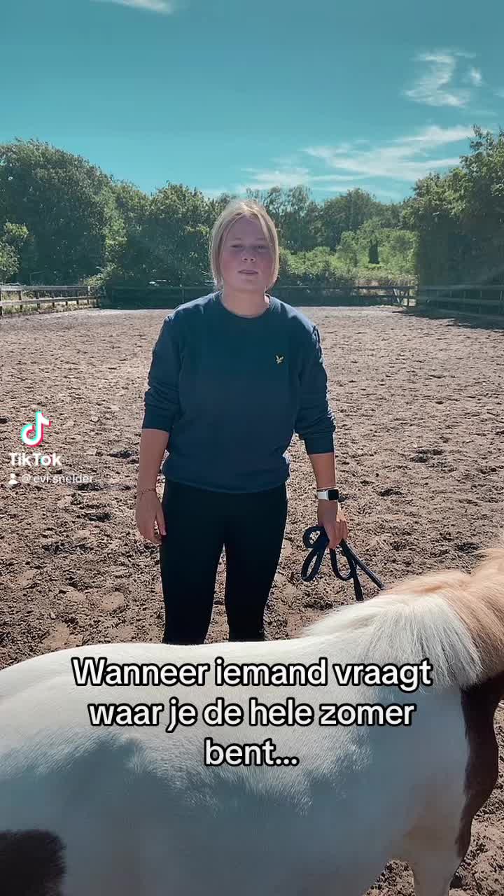 @De Hilversumse ponyclub
