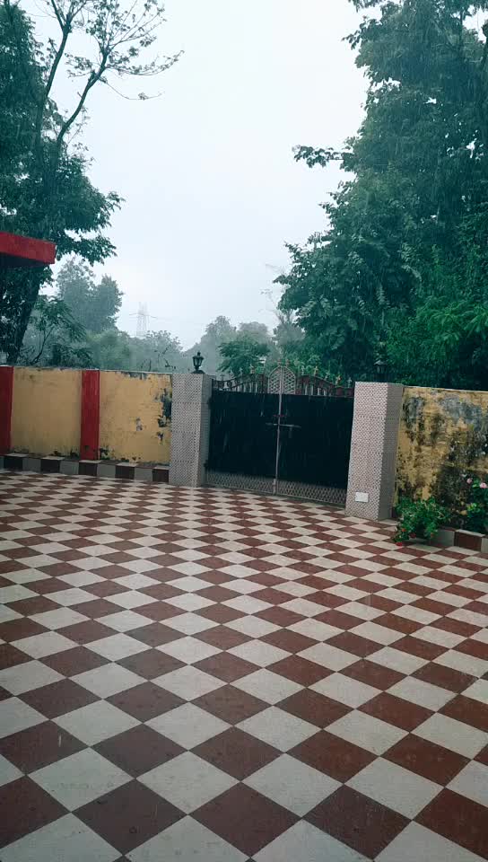 @ruchikachoudhary1818