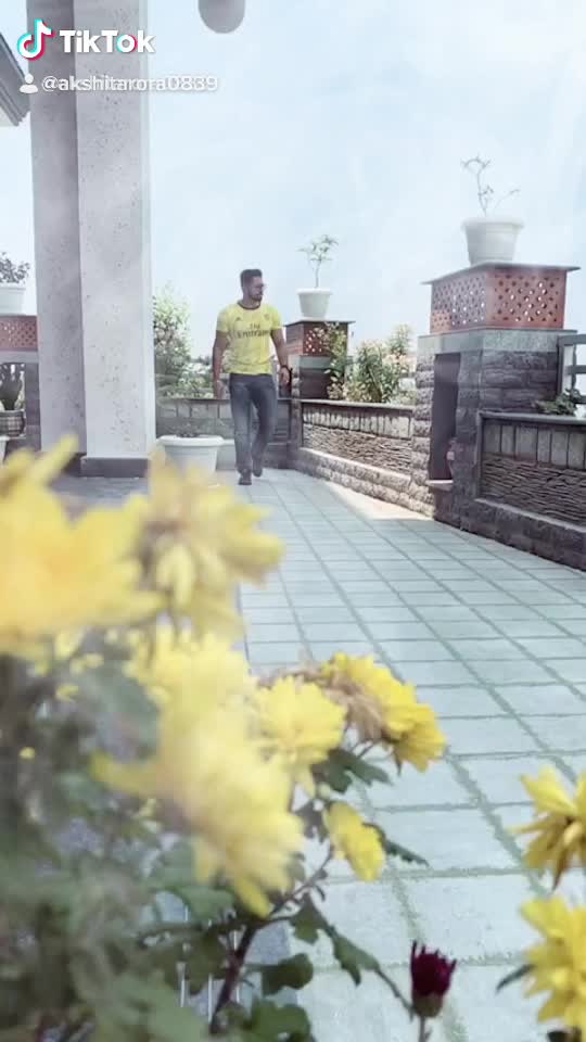 @akshitarora