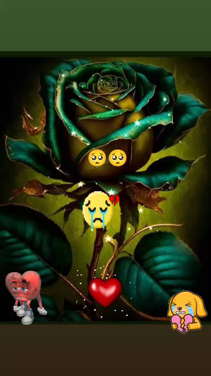 @🥰😍🤩🥳
