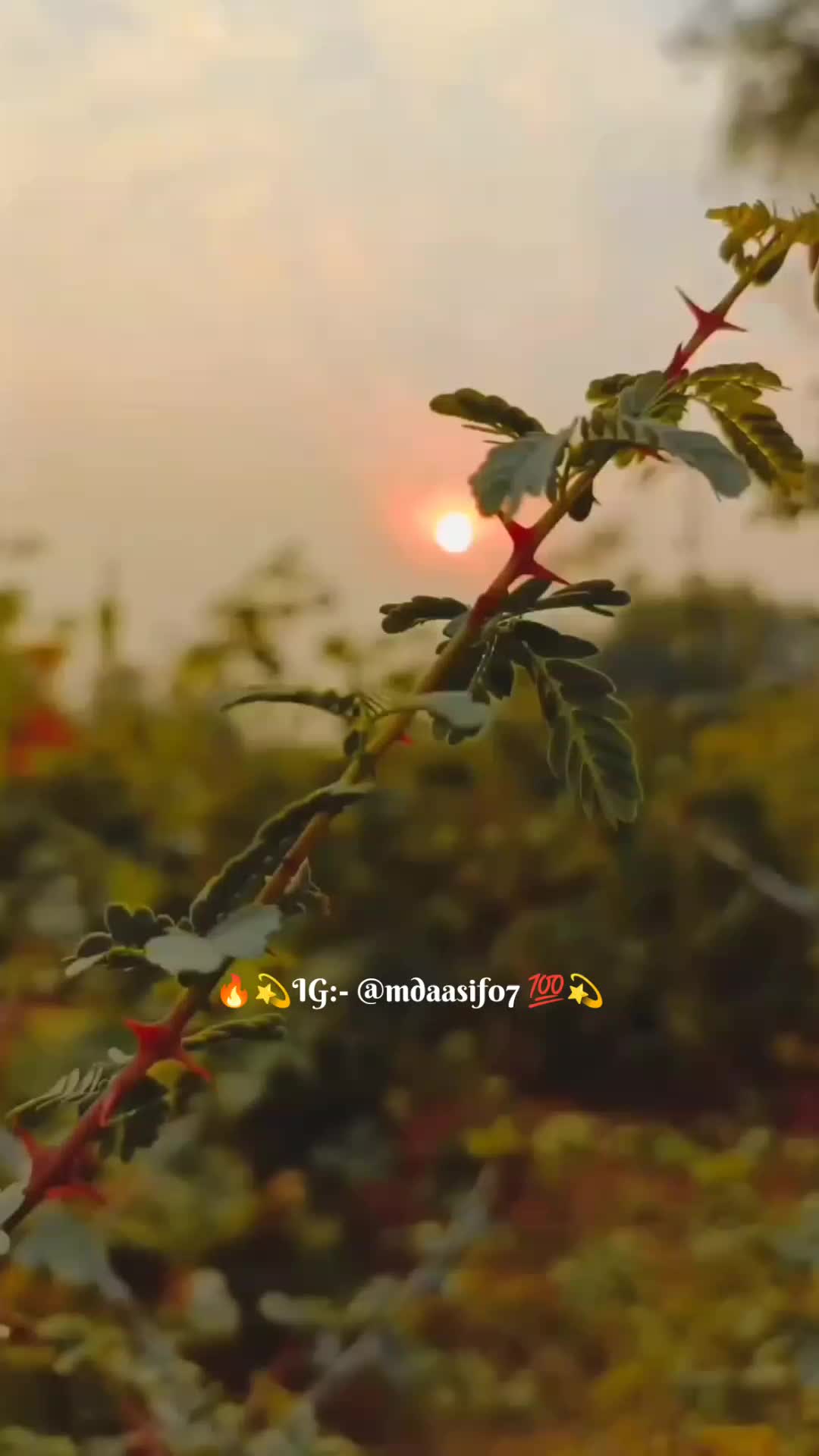 @Aasif Bhai