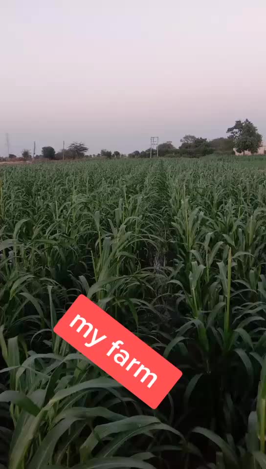 @Subhashsinh Ker
